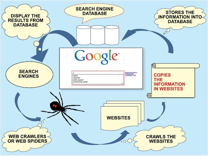 how-does-search-engine-work